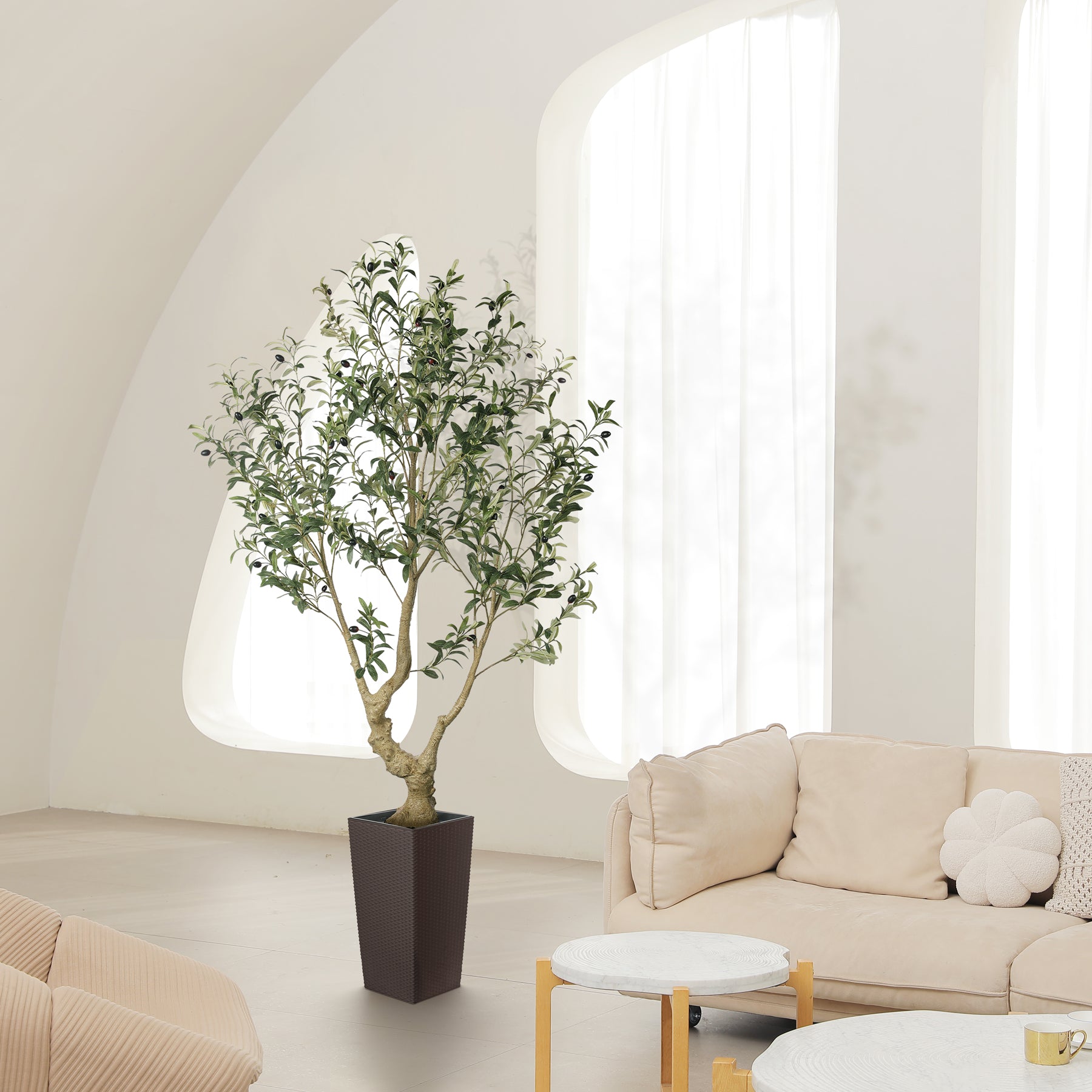 7FT Olive Trees with Tall Planter